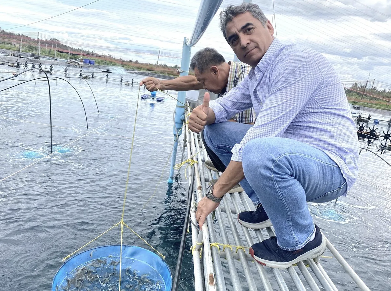 El extracto secreto de algas que pretende combatir enfermedades clave en el camarón